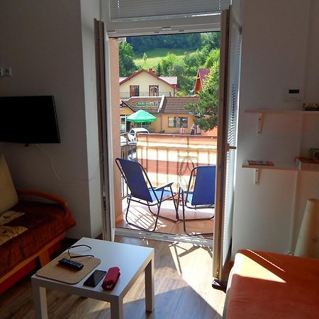 Apartament Kraszewskiego Krynica-Zdrój Exteriér fotografie
